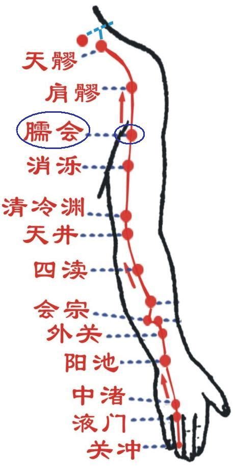 囪會穴|臑會穴位置 